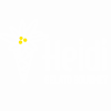 HEIDI_logow